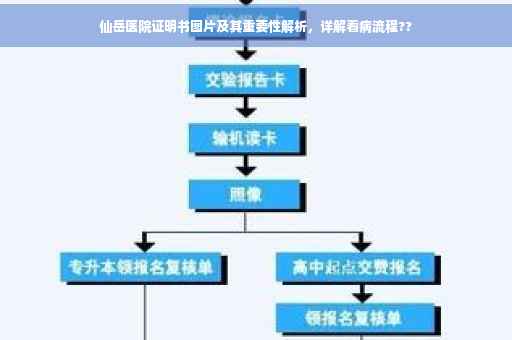 仙岳医院证明书图片及其重要性解析，详解看病流程??