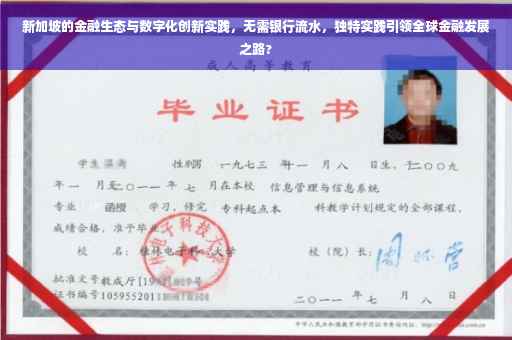 新加坡的金融生态与数字化创新实践，无需银行流水，独特实践引领全球金融发展之路?