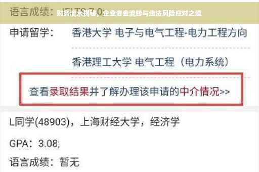 财务流水揭秘，企业资金流转与违法风险应对之道