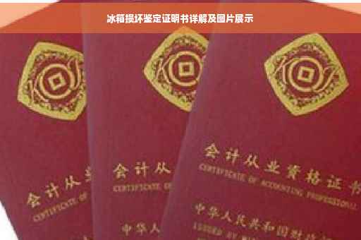 冰箱损坏鉴定证明书详解及图片展示