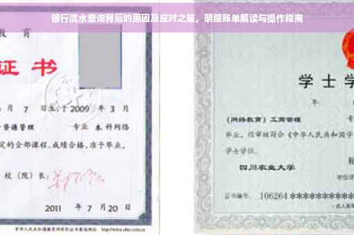 银行流水查询背后的原因及应对之策，明细账单解读与操作指南