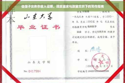 低保子女务农收入证明，现实需求与政策交织下的写作指南