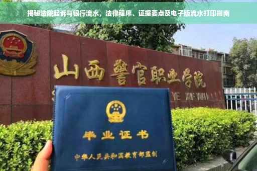 揭秘法院起诉与银行流水，法律程序、证据要点及电子版流水打印指南