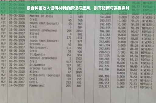 粮食种植收入证明材料的解读与应用，撰写指南与实用探讨