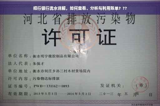 招行银行流水详解，如何查看、分析与利用账单？??