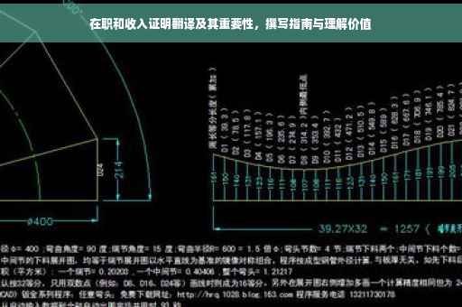 在职和收入证明翻译及其重要性，撰写指南与理解价值