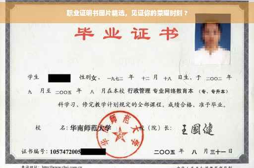 职业证明书图片精选，见证你的荣耀时刻 ?