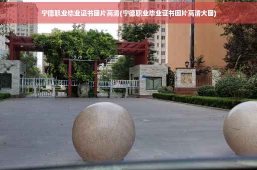 宁德职业毕业证书图片高清(宁德职业毕业证书图片高清大图)