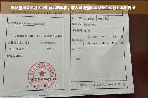 揭秘盖国营章收入证明背后的真相，收入证明盖国营章是否可行？真相揭秘！