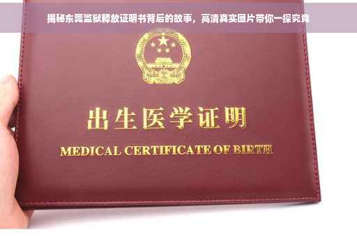 揭秘东莞监狱释放证明书背后的故事，高清真实图片带你一探究竟