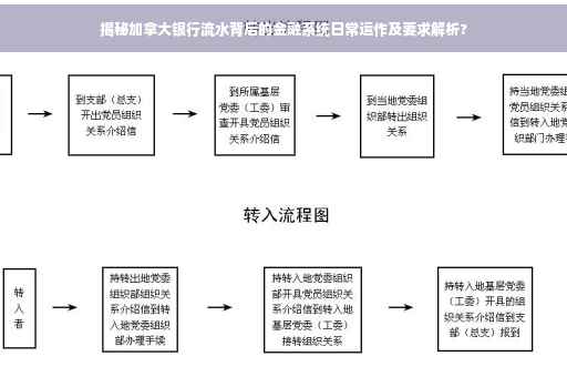 揭秘加拿大银行流水背后的金融系统日常运作及要求解析?