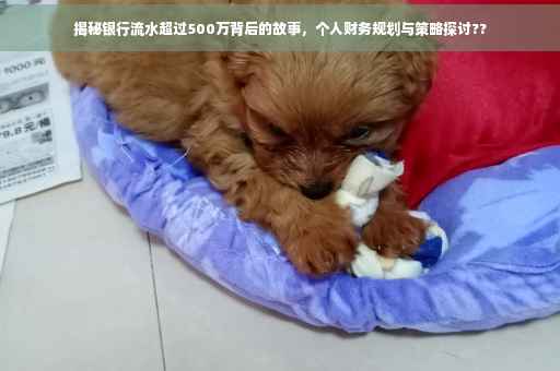 揭秘银行流水超过500万背后的故事，个人财务规划与策略探讨??