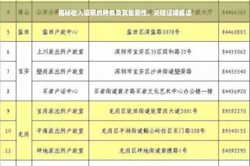 揭秘收入证明的种类及其重要性，关键证据解读