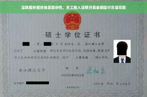 深度解析薪资体系复杂性，员工收入证明开具金额探讨合适范围