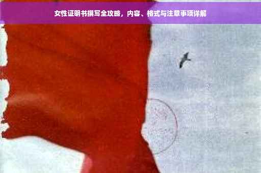 女性证明书撰写全攻略，内容、格式与注意事项详解