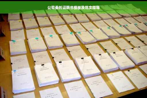 公司委托证明书模板及范文指导