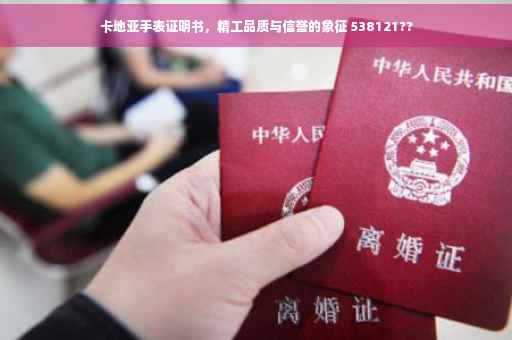 卡地亚手表证明书，精工品质与信誉的象征 538121??