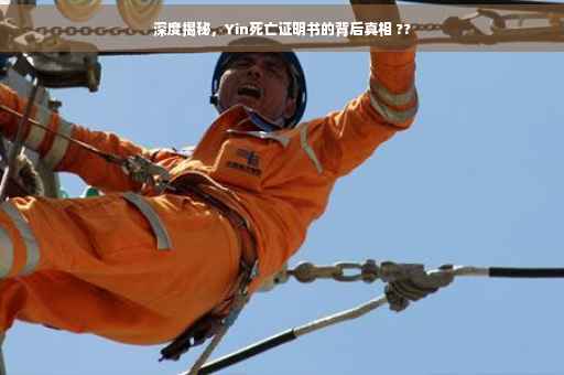 深度揭秘，Yin死亡证明书的背后真相 ??