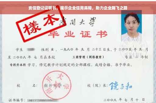资信登记证明书，揭示企业信用真相，助力企业腾飞之路