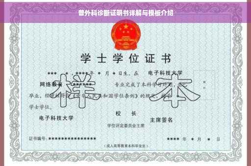 普外科诊断证明书详解与模板介绍
