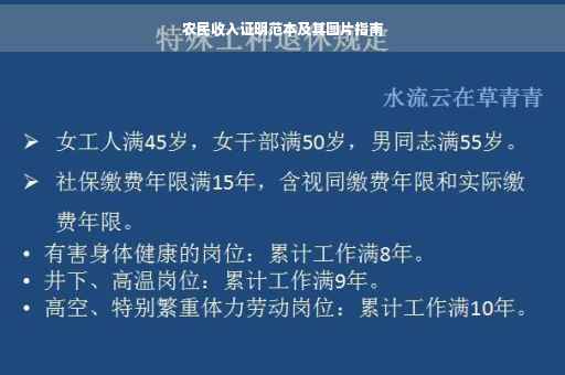 农民收入证明范本及其图片指南