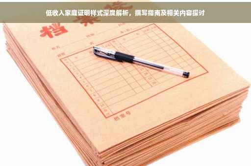 低收入家庭证明样式深度解析，撰写指南及相关内容探讨