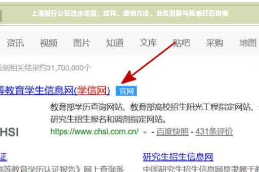 上海银行公司流水详解，结构、查询方法、业务洞察与账单打印指南