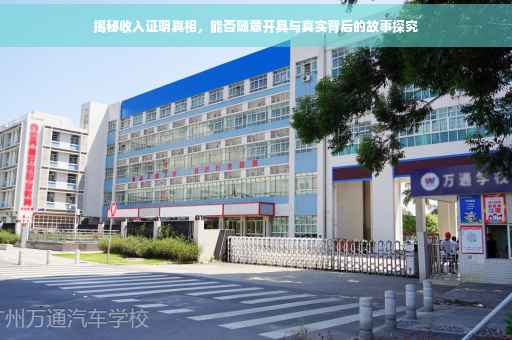 揭秘收入证明真相，能否随意开具与真实背后的故事探究