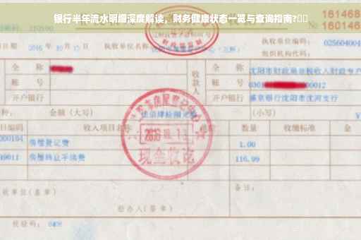 银行半年流水明细深度解读，财务健康状态一览与查询指南?⚡️