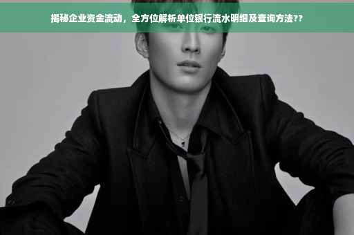揭秘企业资金流动，全方位解析单位银行流水明细及查询方法??