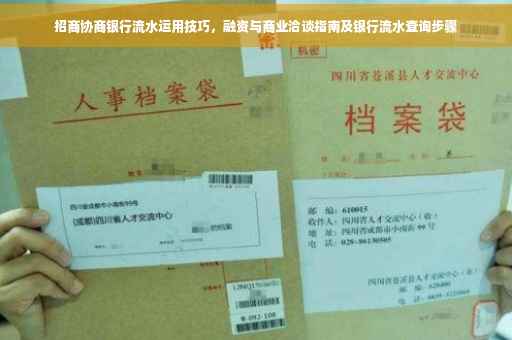 招商协商银行流水运用技巧，融资与商业洽谈指南及银行流水查询步骤