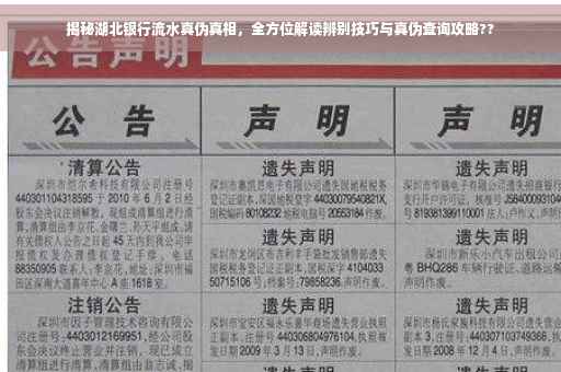 揭秘湖北银行流水真伪真相，全方位解读辨别技巧与真伪查询攻略??