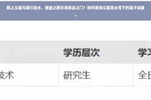网上立案与银行流水，便捷之路还是挑战之门？如何查询立案流水号下的案子进展。