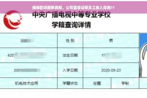 揭秘职场薪酬真相，公司盖章证明员工收入指南??