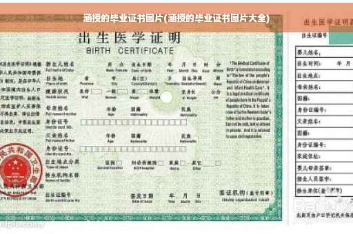 涵授的毕业证书图片(涵授的毕业证书图片大全)