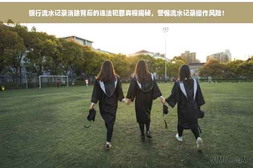 银行流水记录消除背后的违法犯罪真相揭秘，警惕流水记录操作风险！