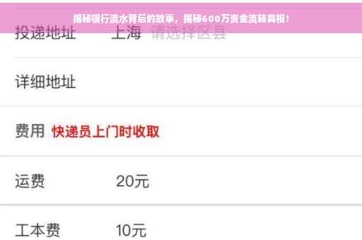 揭秘银行流水背后的故事，揭秘600万资金流转真相！