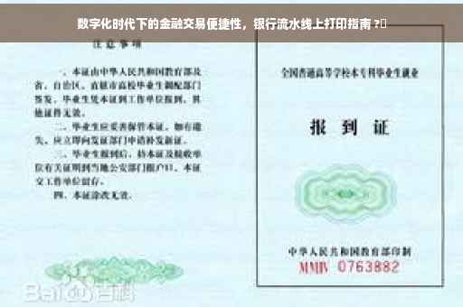 数字化时代下的金融交易便捷性，银行流水线上打印指南 ?✨