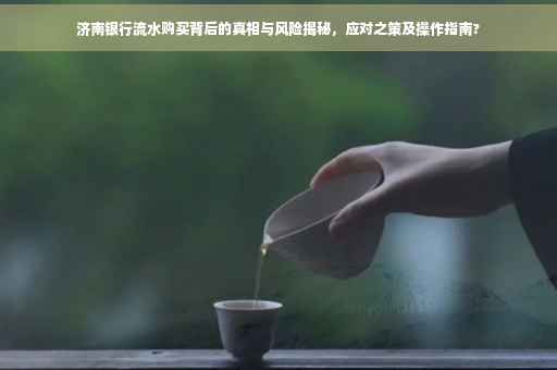 济南银行流水购买背后的真相与风险揭秘，应对之策及操作指南?