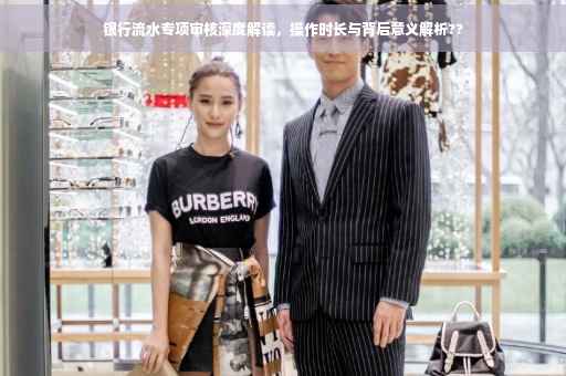 银行流水专项审核深度解读，操作时长与背后意义解析??
