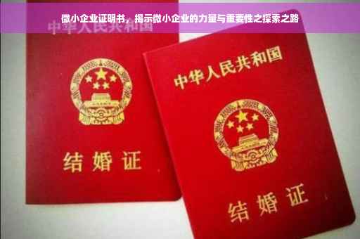 微小企业证明书，揭示微小企业的力量与重要性之探索之路