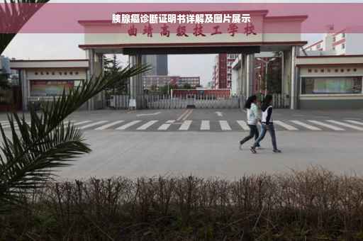 胰腺癌诊断证明书详解及图片展示