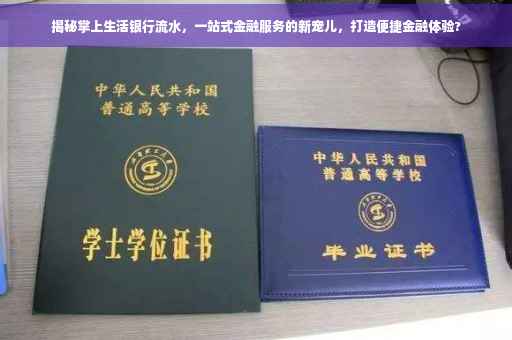 揭秘掌上生活银行流水，一站式金融服务的新宠儿，打造便捷金融体验?