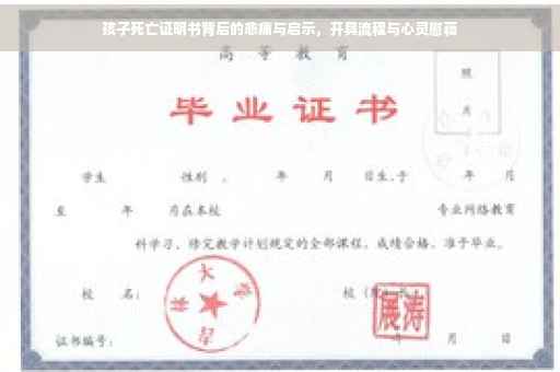 孩子死亡证明书背后的悲痛与启示，开具流程与心灵慰藉