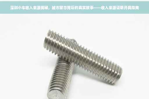 深圳小车收入来源揭秘，城市繁华背后的真实故事——收入来源证明开具指南