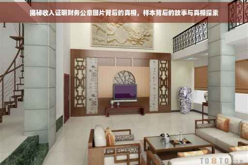 揭秘收入证明财务公章图片背后的真相，样本背后的故事与真相探索