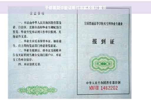 于都医院诊断证明书详解及图片展示