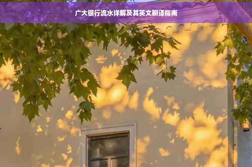 广大银行流水详解及其英文翻译指南