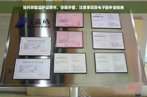 如何获取监护证明书，详细步骤、注意事项及电子版申请指南
