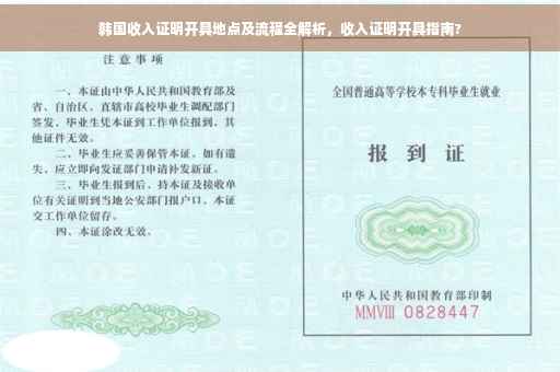 韩国收入证明开具地点及流程全解析，收入证明开具指南?